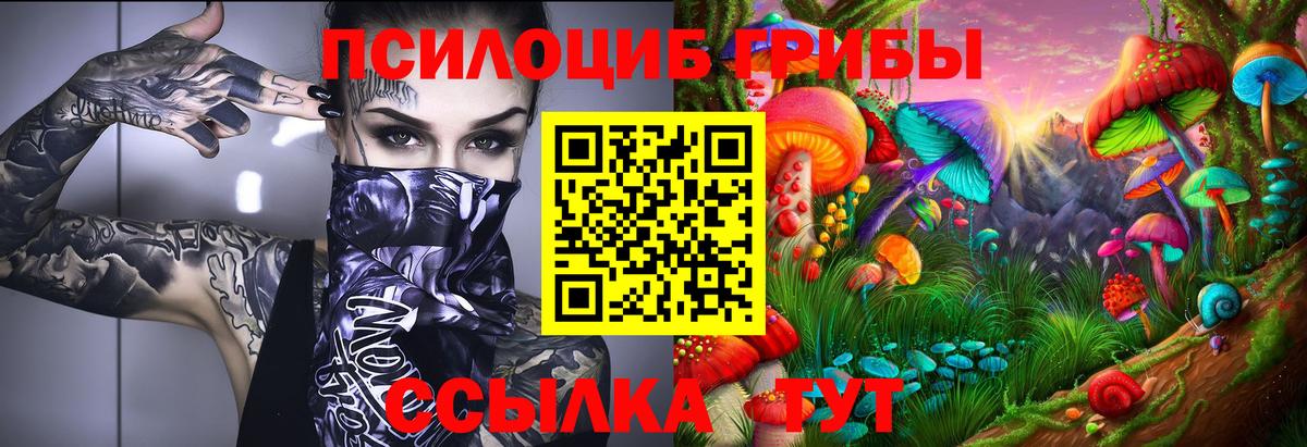 Псилоцибиновые грибы GOLDEN TEACHER  Вход с VPN  Холмск 